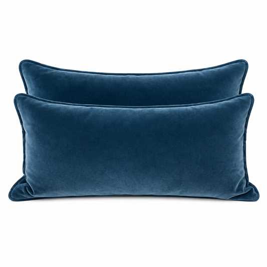 Lot de 2 Coussins en velour