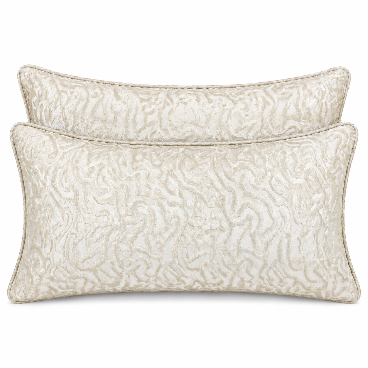 Lot de 2 Coussins rectangulaires à motif organique beige lumineux
