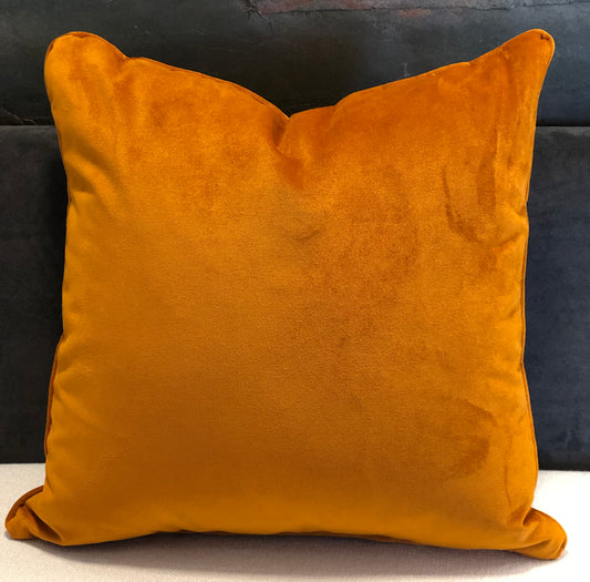 Coussin velour uni